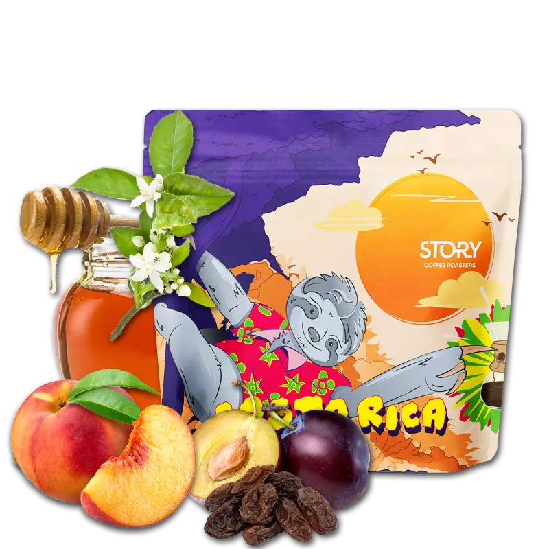 Kostarika  - LOS CEDROS