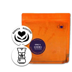 Nikaragua - FINCA AURORA