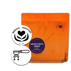 Mexiko - GILDO GARCÍA PERÉZ