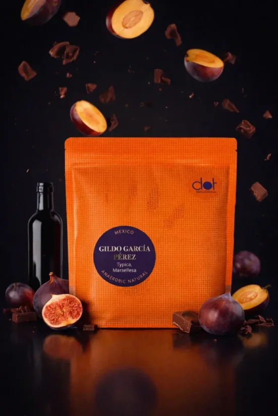 Mexiko - GILDO GARCÍA PERÉZ