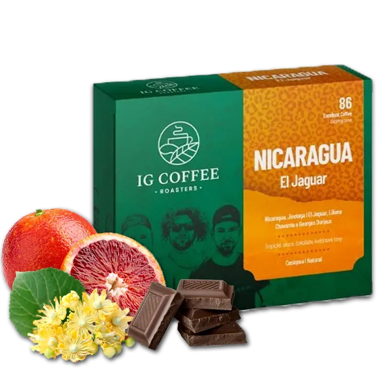 Nikaragua - EL JAGUAR