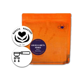 Mexiko - GILDO GARCÍA PERÉZ