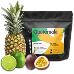 Guatemala - FINCA LA SENDA